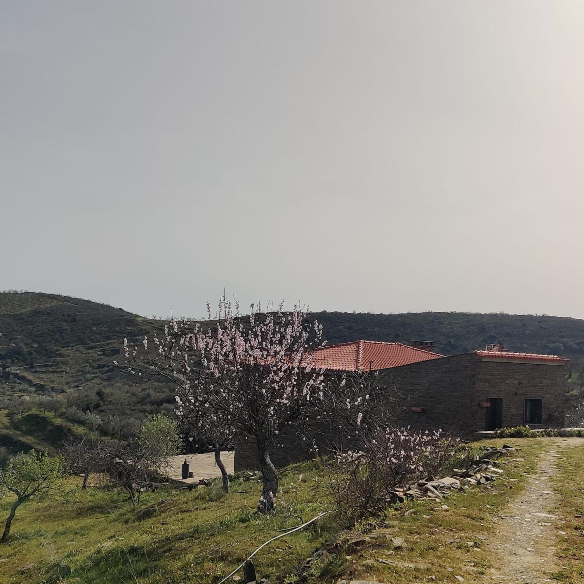 Vila Eira Da Fraga Vila Nova de Fozcoa Exteriér fotografie